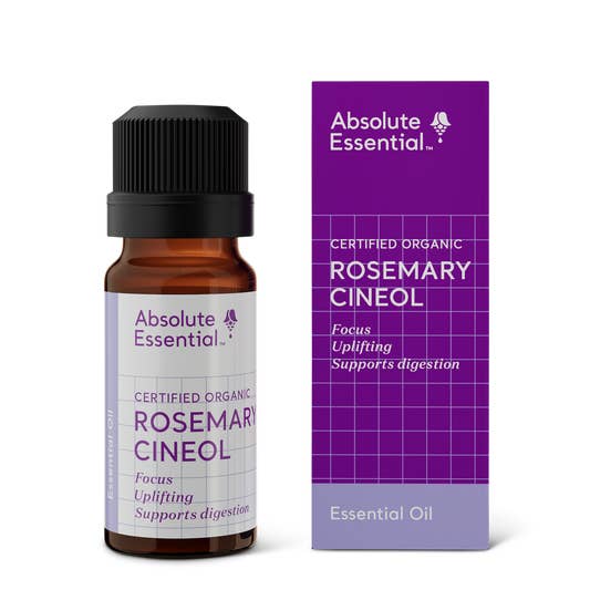 Rosemary Cineol Olio essenziale puro al 100% per la vendita all'ingrosso da parte di Absolute Essential Plant Oils