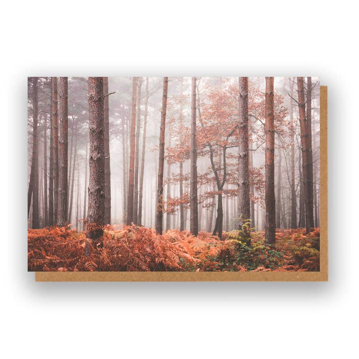Woodland Scene Greeting Card for wholesale by Marina Walker