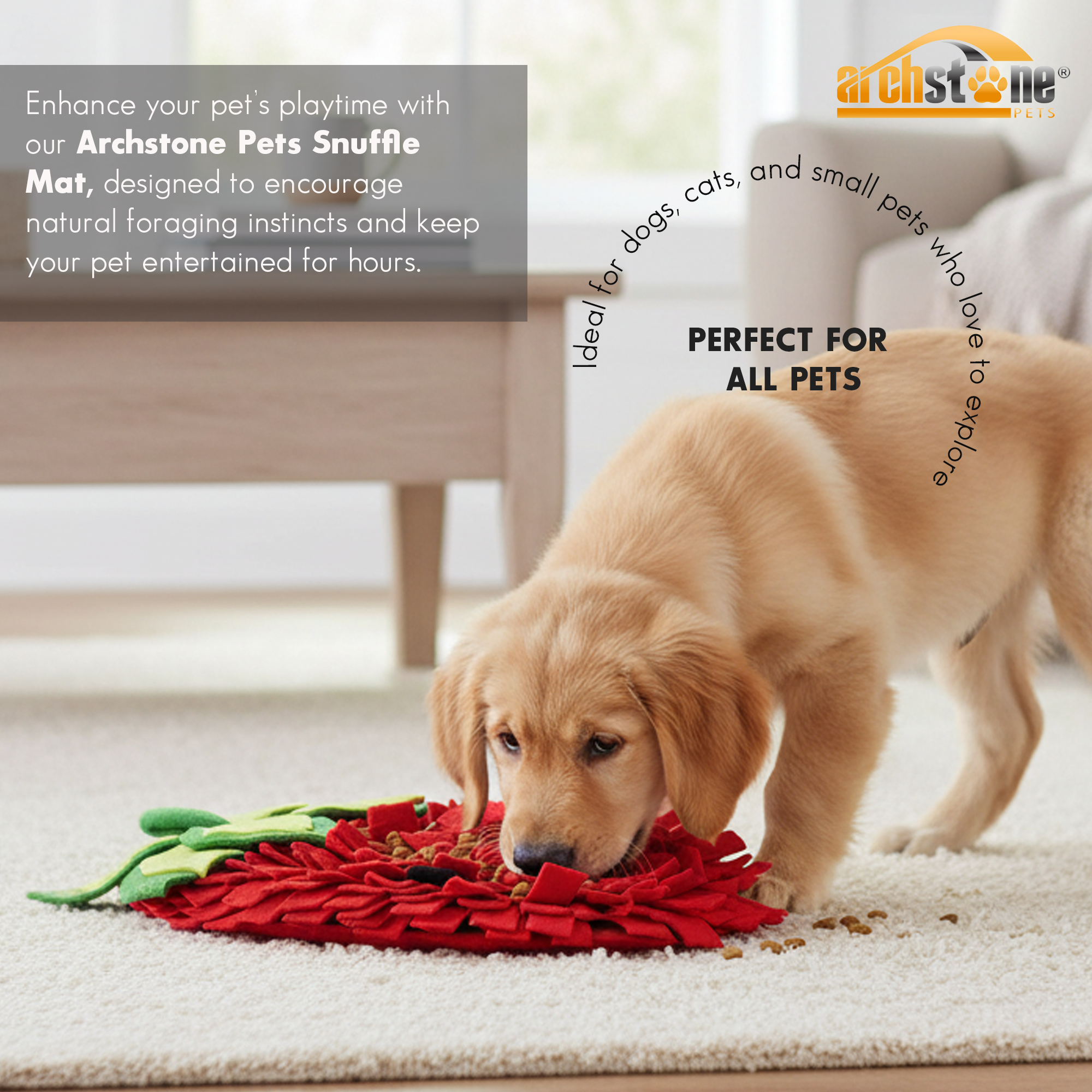 Archstone Collections – wholesale Pet food mat – Dog – Archstone Pet Snuffle Mat - Strawberry, Feeding Training Mat3