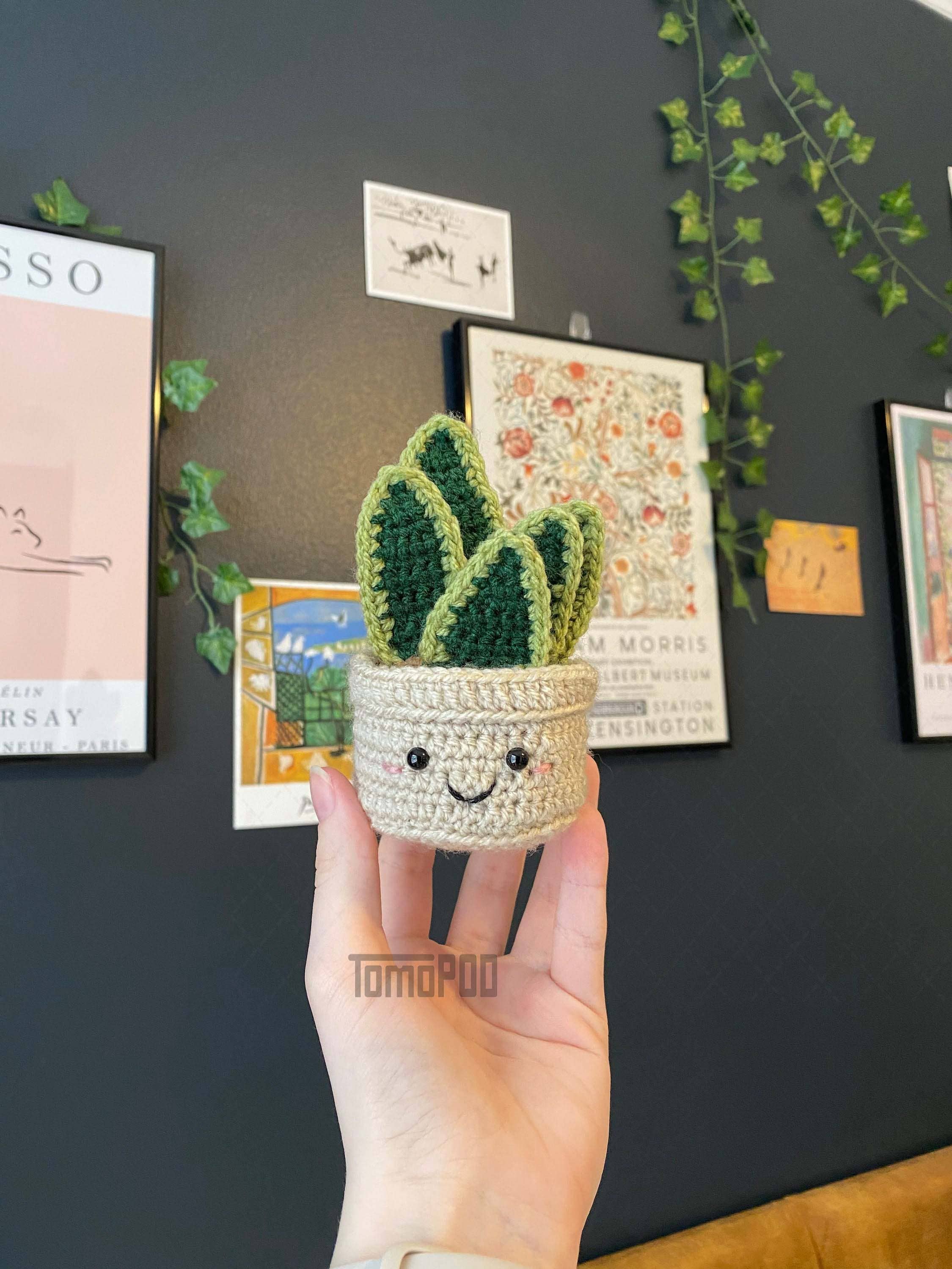 TOMOPOD LLC – wholesale Decorative tabletop object – Crochet Succulent Plant, Amigurumi Plant, Office Desk Decor0