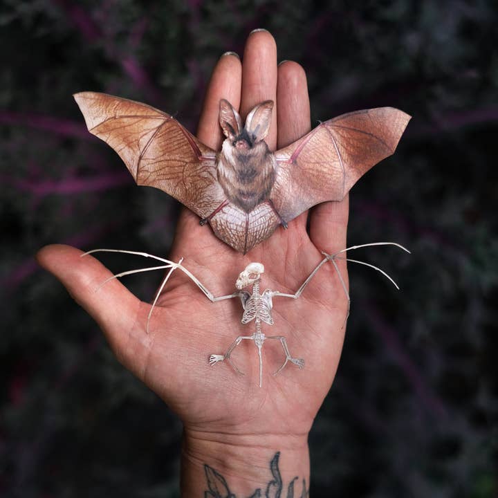 Moth and Myth - Wholesale Wall Accent - Halloween Bat & Bat Sketelon Paper Set1