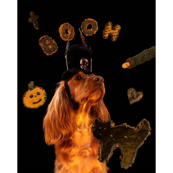 Belpharmed bv: Cooka's Cookies & Sensidog – Engroshandel Godbid - Hund – Halloween - Uhyggelig Boks8
