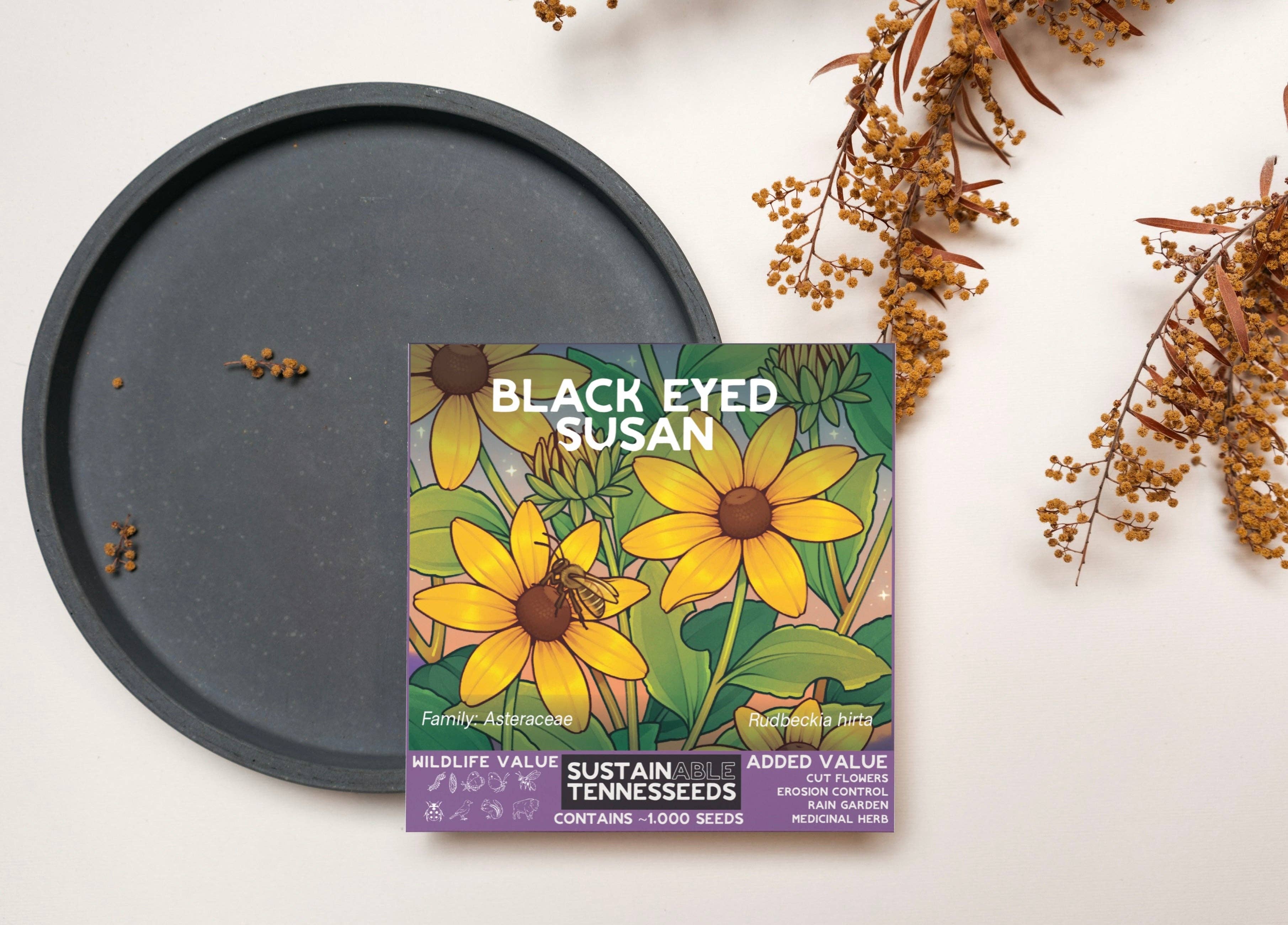 Plant for a Change - Wholesale Plant Seeds - Black-Eyed Susan2
