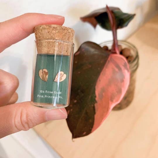 Plant Dosage – Engroshandel Ørestikkere – Pink Prinsesse & Hvid Ridder Ph Plante Studs | Allergivenlig