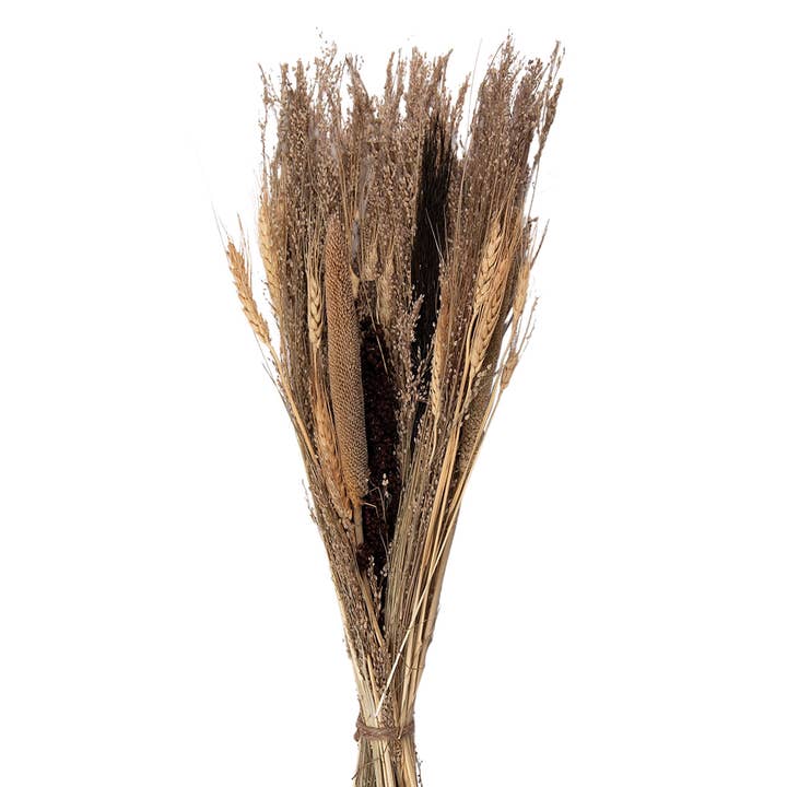 5DF0006 Dried Flowers 60 cm Beige Dried Flowers Bouquet of for wholesale by Clayre & Eef