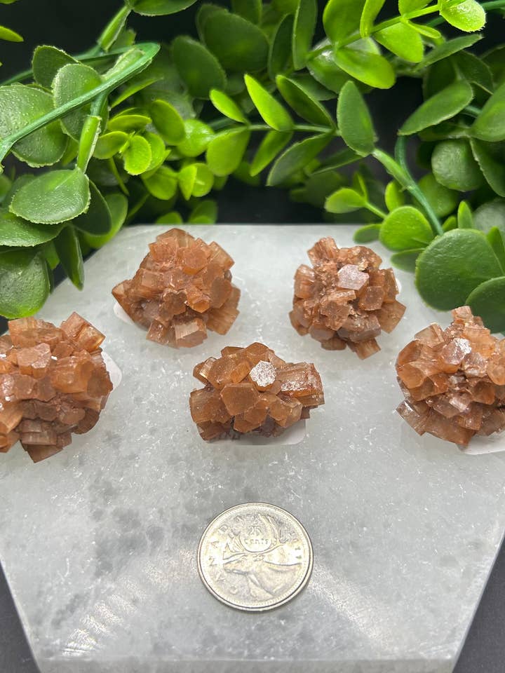 Aragonite Clusters (S) for wholesale by Moonbeam Healing