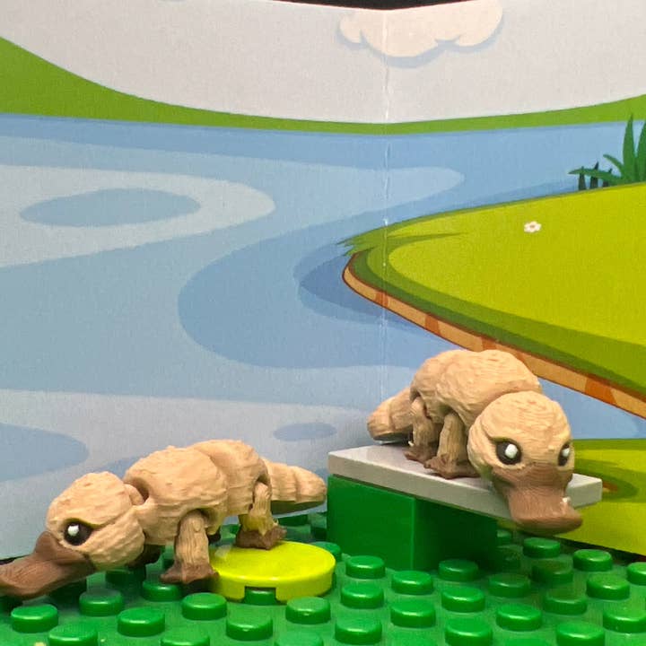 Third St. Studio - Wholesale Fidget Toy - Kids - Platypus