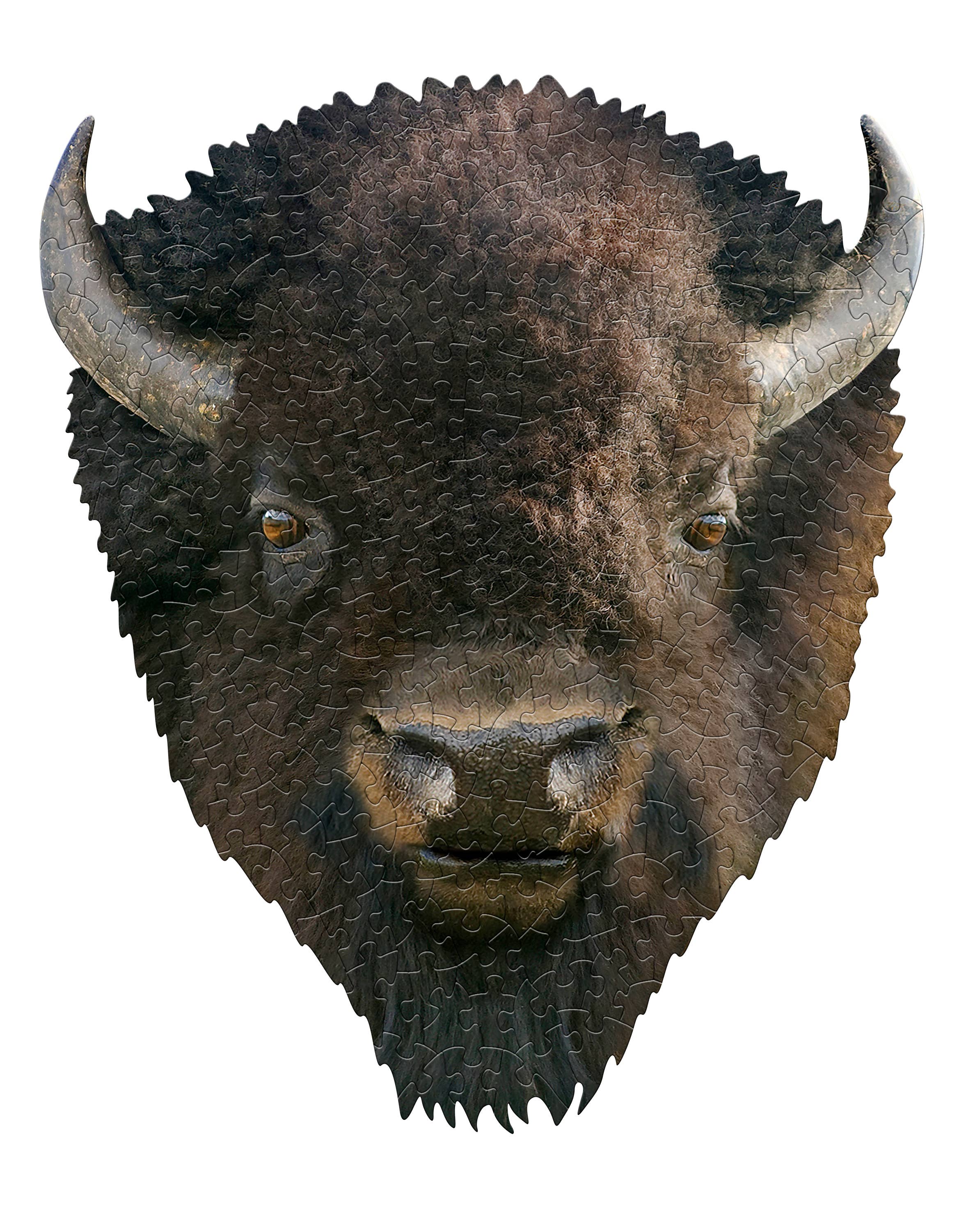 Madd Capp Games & Puzzles - Wholesale Retailer Display - Paper & Novelty - PUZZLE DISPLAY - Bison 300pc0