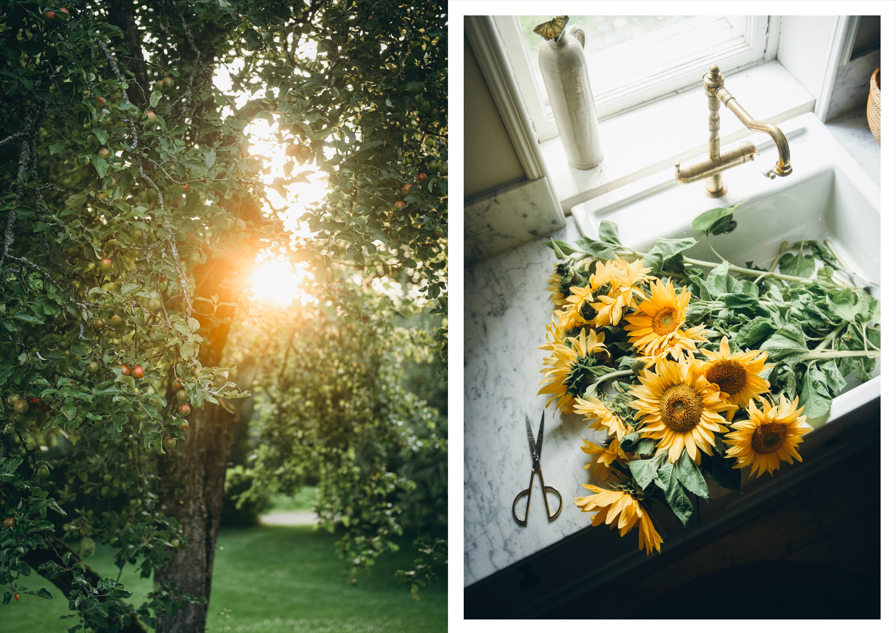 Cozy Publishing – Großhandel Kochbücher & Essen – Nordisches Sommerkochbuch16