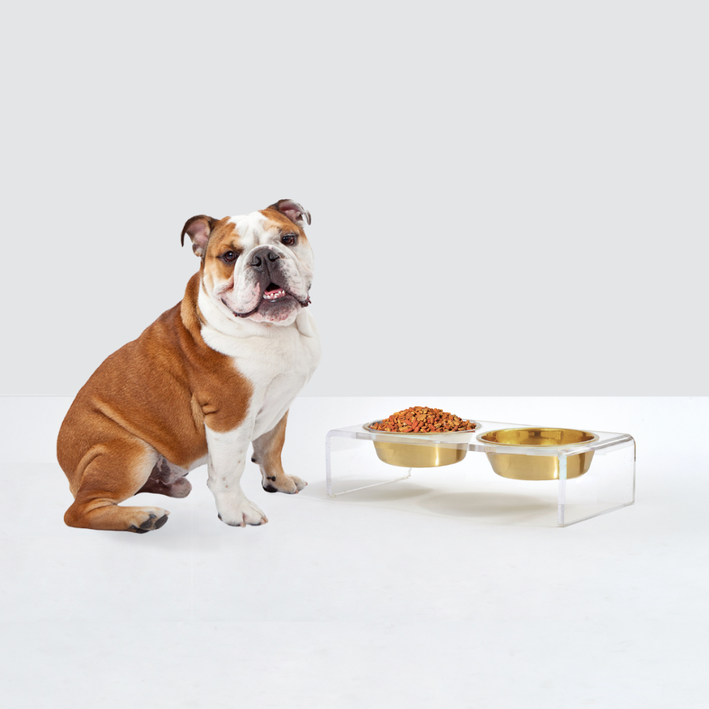 Hiddin - Wholesale Pet Bowl - Cat/Dog - Small Gold Feeder0