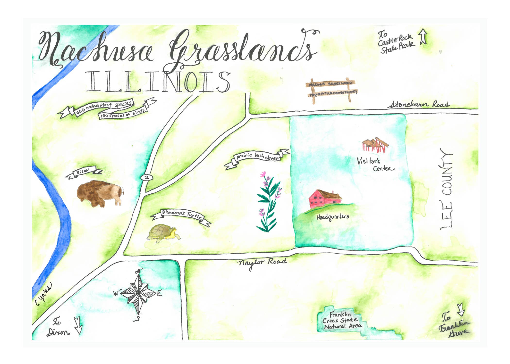 Emily Drew Yates Art & Illustration - Wholesale Postcard - Postcards - Watercolor Calligraphy Maps - 31 Maps36