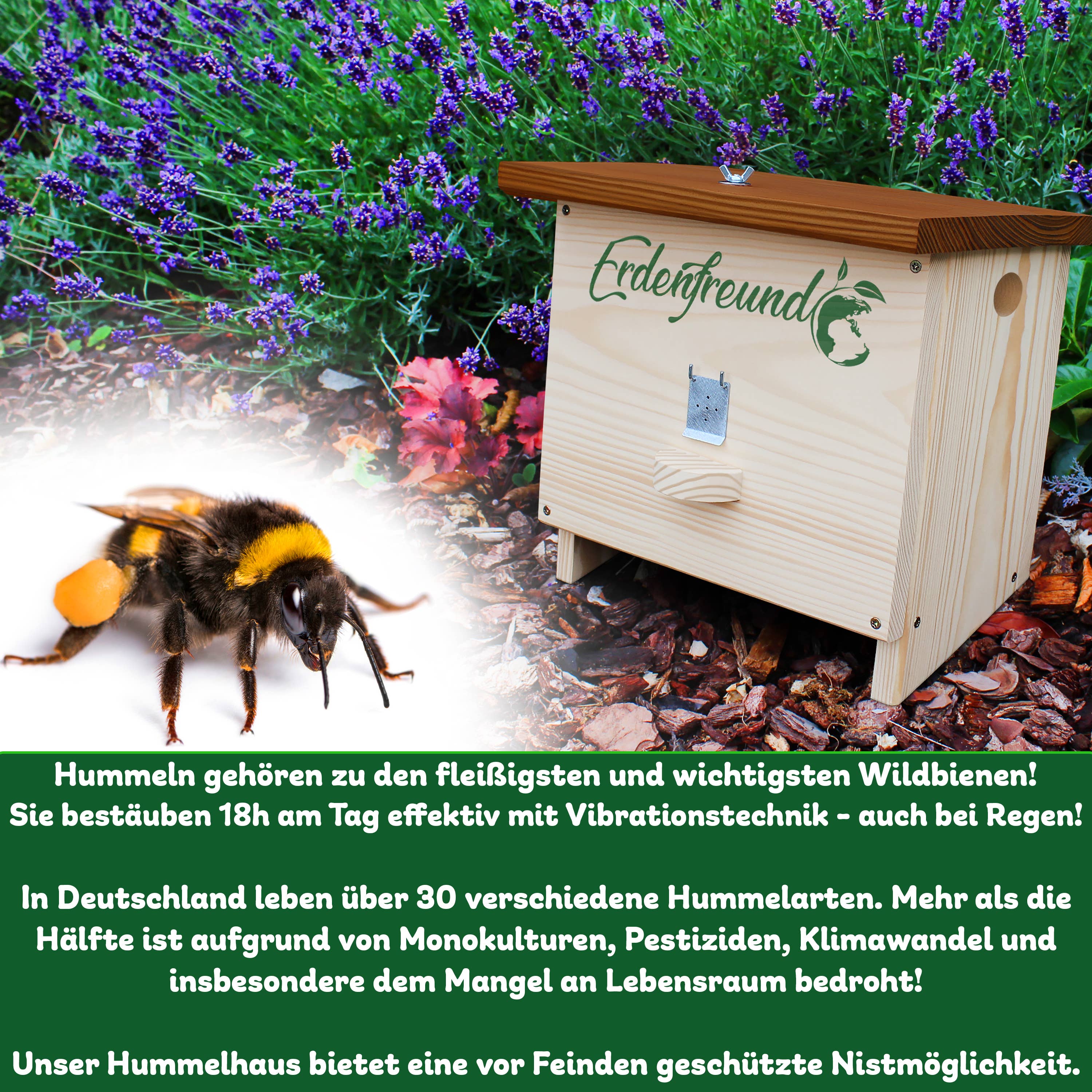 Erdenfreund - Venta al por mayor Casita para pájaros - ERDENFREUND® Casa para abejorros con puerta para polillas de cera5