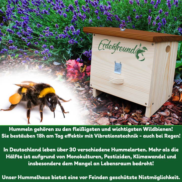 Erdenfreund - Vendita all'ingrosso Casette per uccelli - ERDENFREUND® Casa per bombi con sportello anti-tarme di cera5