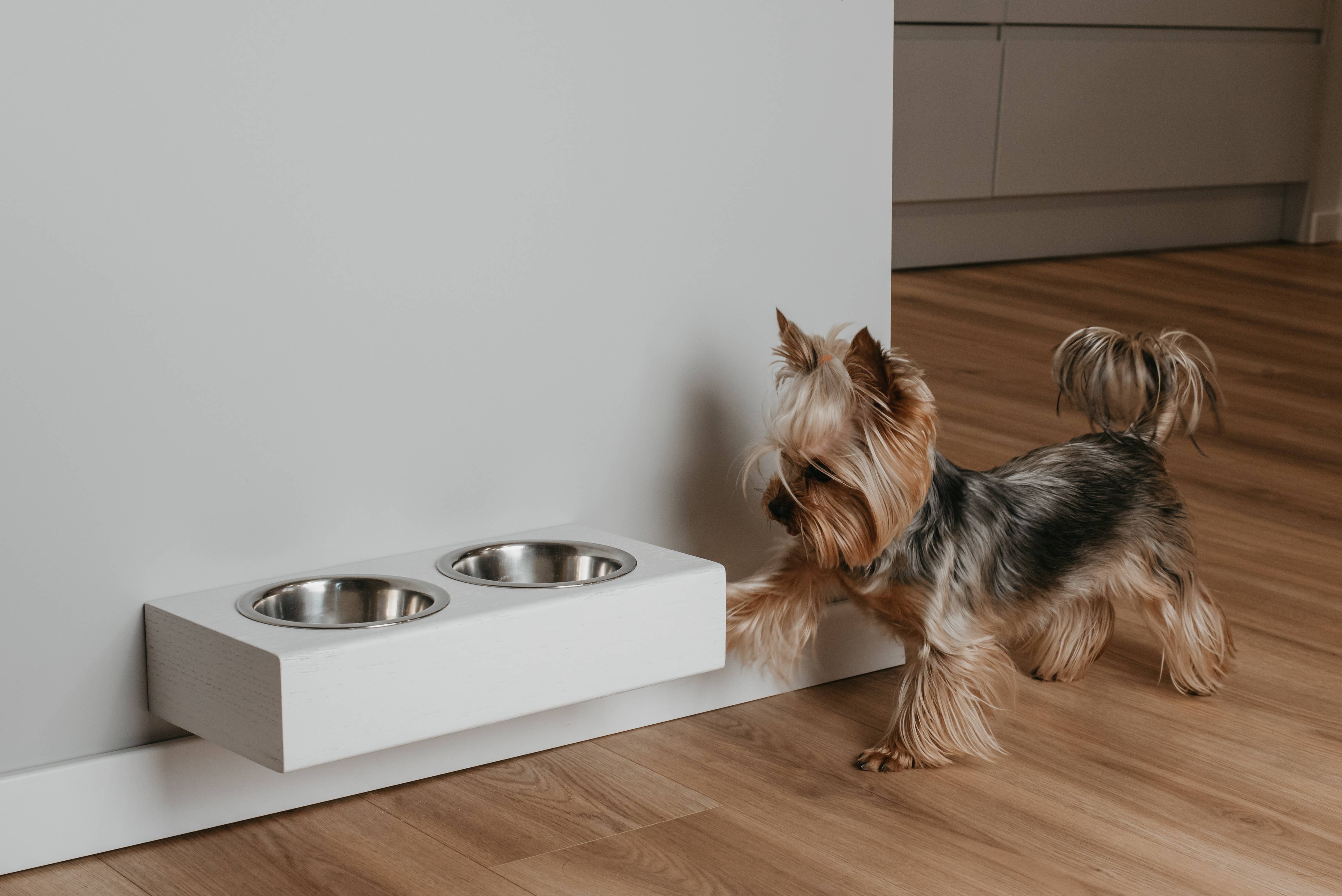 ValiaiDesign - Wholesale Pet Bowl - Cat/Dog - Double bowl dog feeder, Futterstation hund, Elevated bowls3