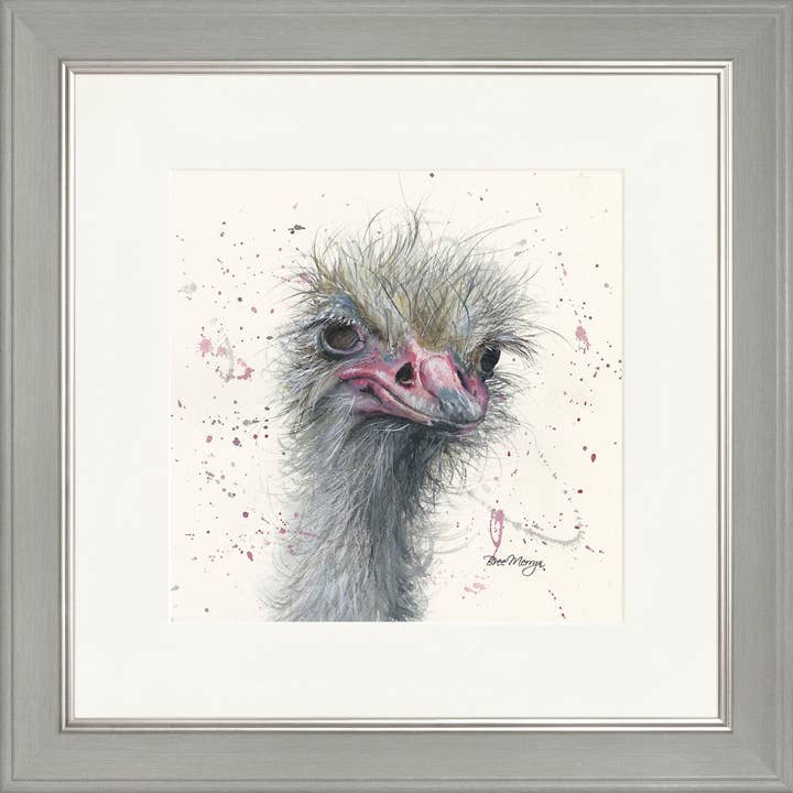 Ozzy Square Framed Print (13" or 19") for wholesale by Bree Merryn Art Ltd