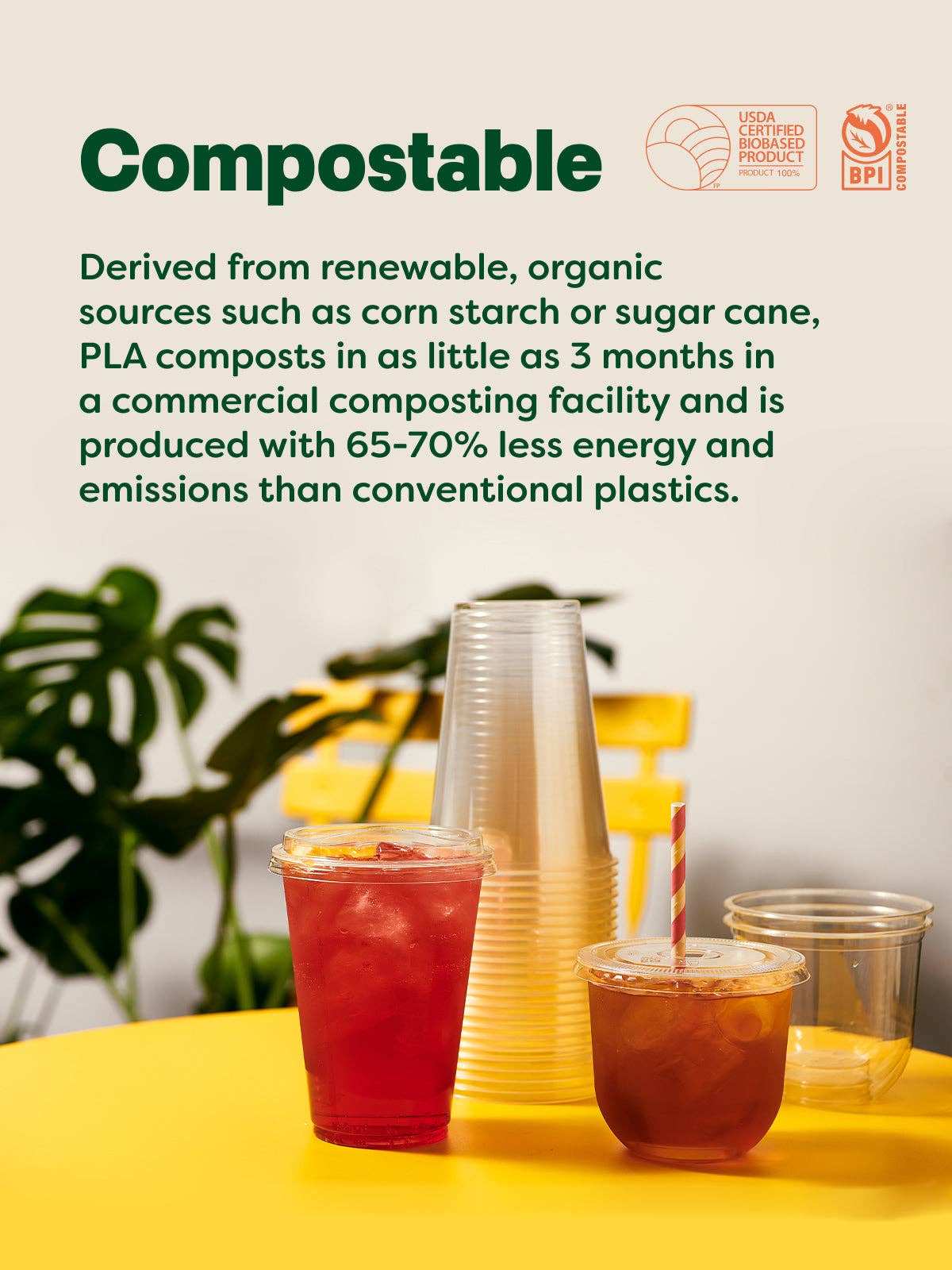 TOSSWARE - Wholesale Disposable Cup - TOSSWARE NATURAL Arc - Plant Based 12 oz Cups  Set of 10002