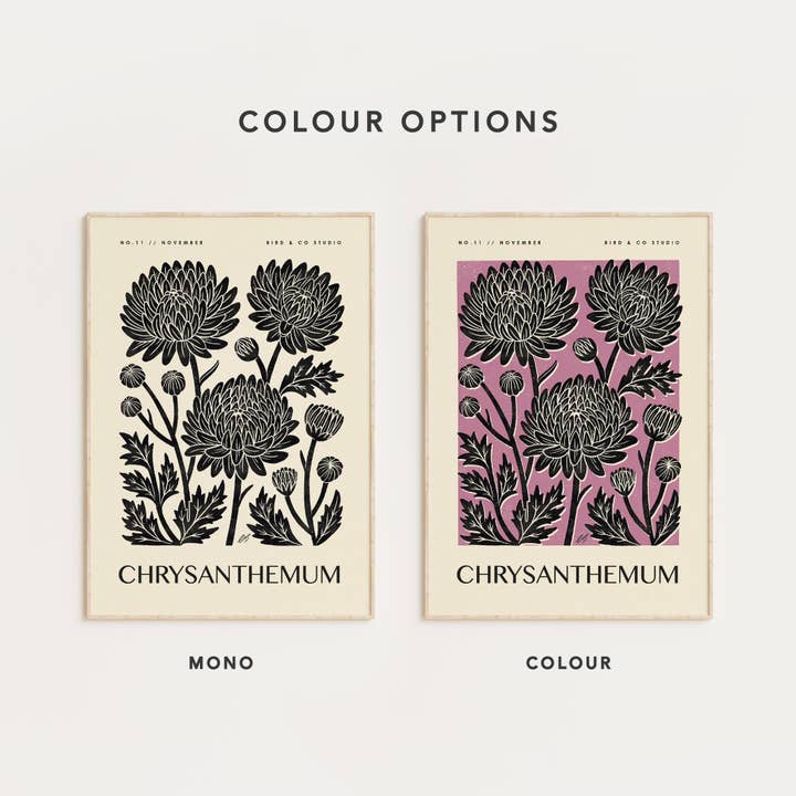 Bird & Co Studio - Wholesale Art Print - November Chrysanthemum | Botanical Birth Flower Art Print2