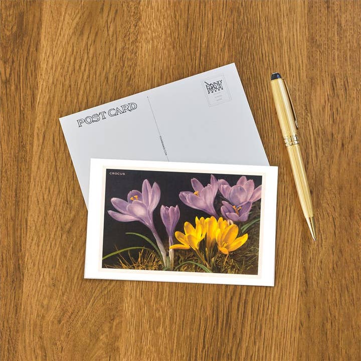 Found Image Press - Wholesale Postcard - Postcard FC-86 Purple and Yellow Crocus1