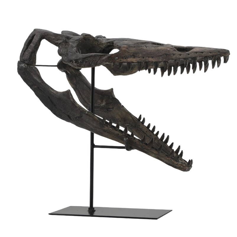 Modern World by Contrast Inc. - Wholesale Decorative Tabletop Object - Plioplatecarpus Dinosaur Skull0