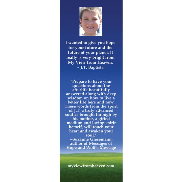 Bridge to Healing Press - Wholesale Religion Book - My View from Heaven: A Boy's Story of His Journey to Heaven2