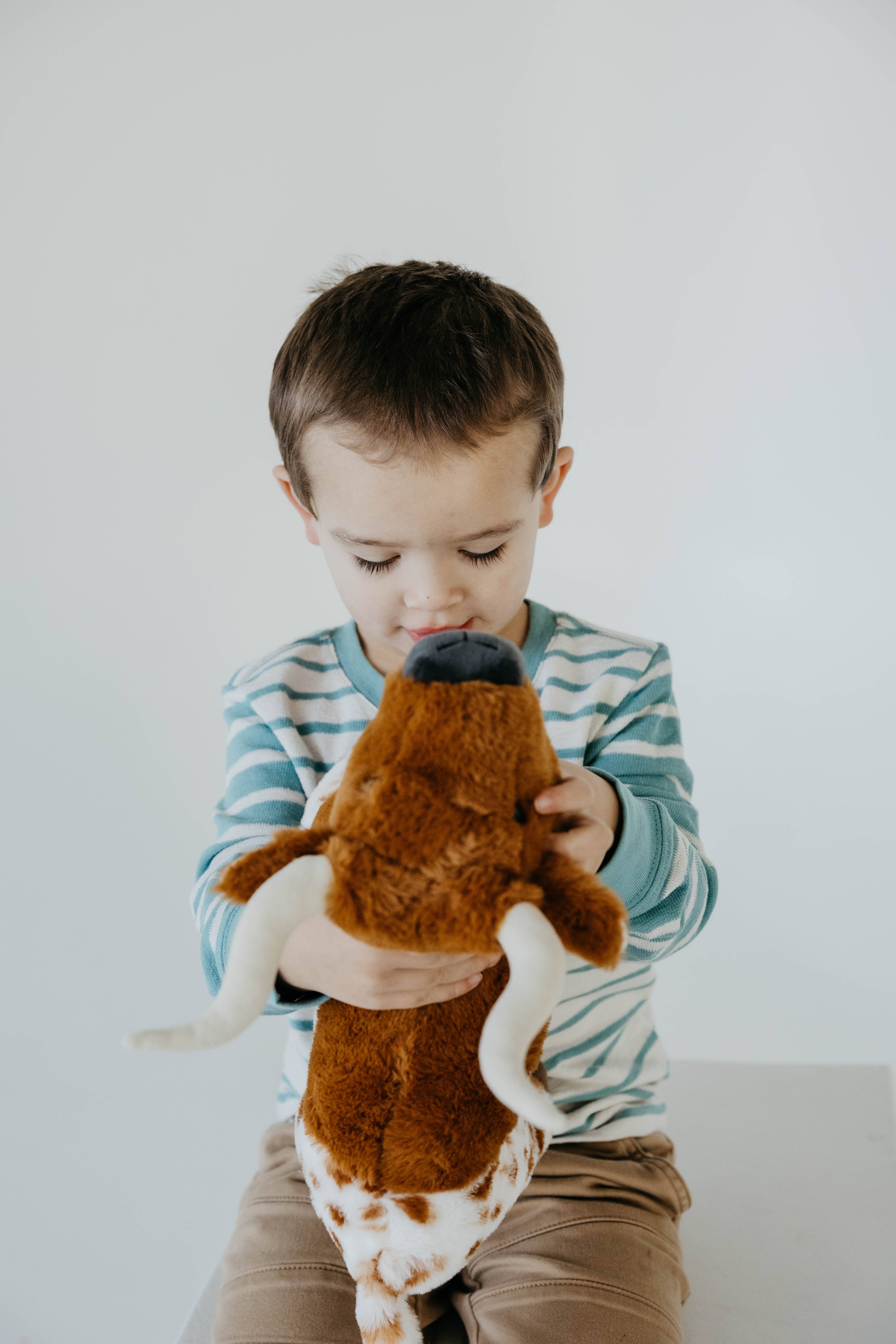 The Petting Zoo - Wholesale Stuffed/Plush Toy - Kids & Baby - 12" (30cm) Wild Onez Longhorn Cow5