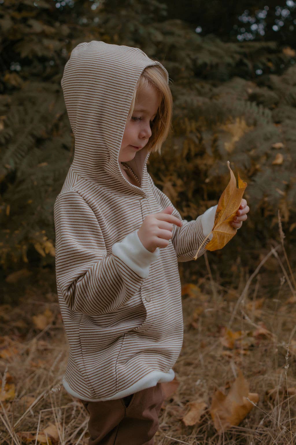mustard stripe Mountain Top Hoodie for wholesale on Faire2