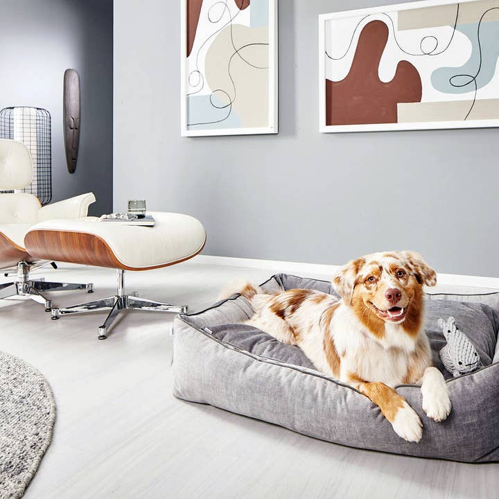 LABONI - Volentis GmbH - Wholesale Pet Bed - Dog - ORTHO PET BED GLAM3