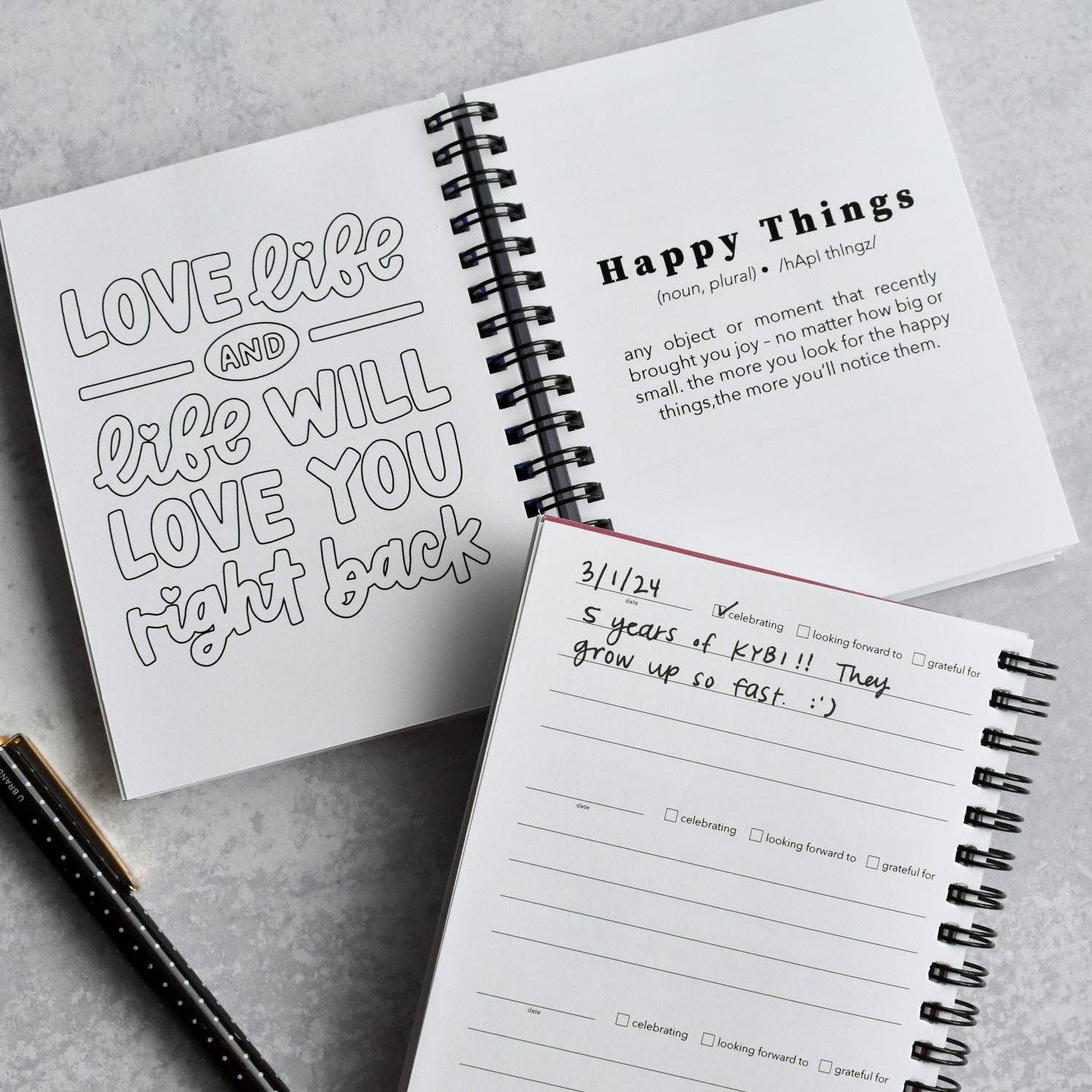 Kyn You Believe It - Wholesale Journal/Diary - Hello / Happy Things Gratitude Journal2