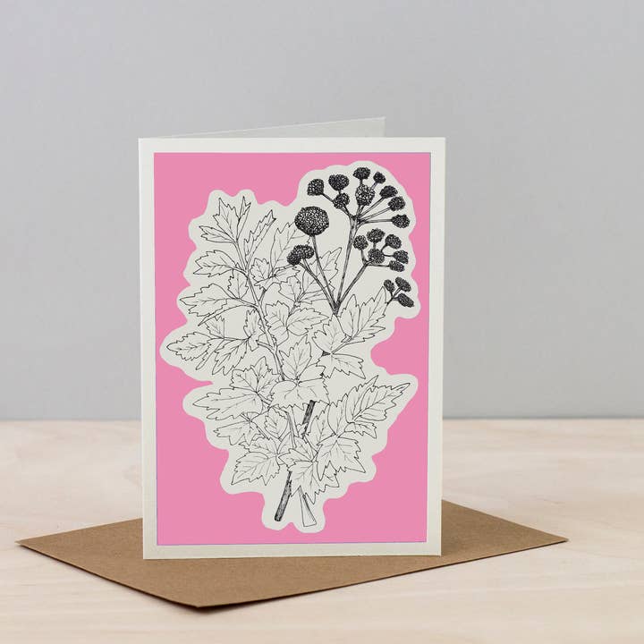 Studio Wald - Wholesale Everyday Greeting Card - All Occasions Greetings Cards - Herbs Line