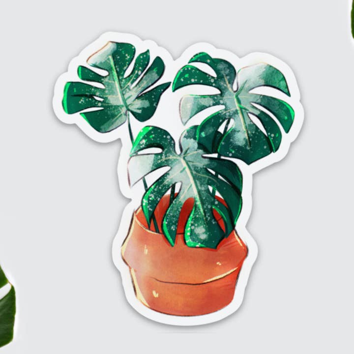 Magnet - Monstera Thai Constellation i en korg, botanisk prin för wholesale av plantyintroverts