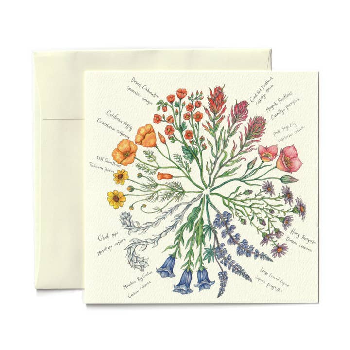 Wildflower Color Wheel Greeting Card for wholesale by Claire Loon Baldwin Illustration