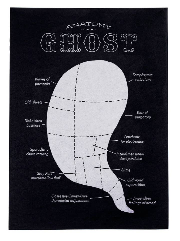 Anatomy of a Ghost for wholesale by Mummy's Hand