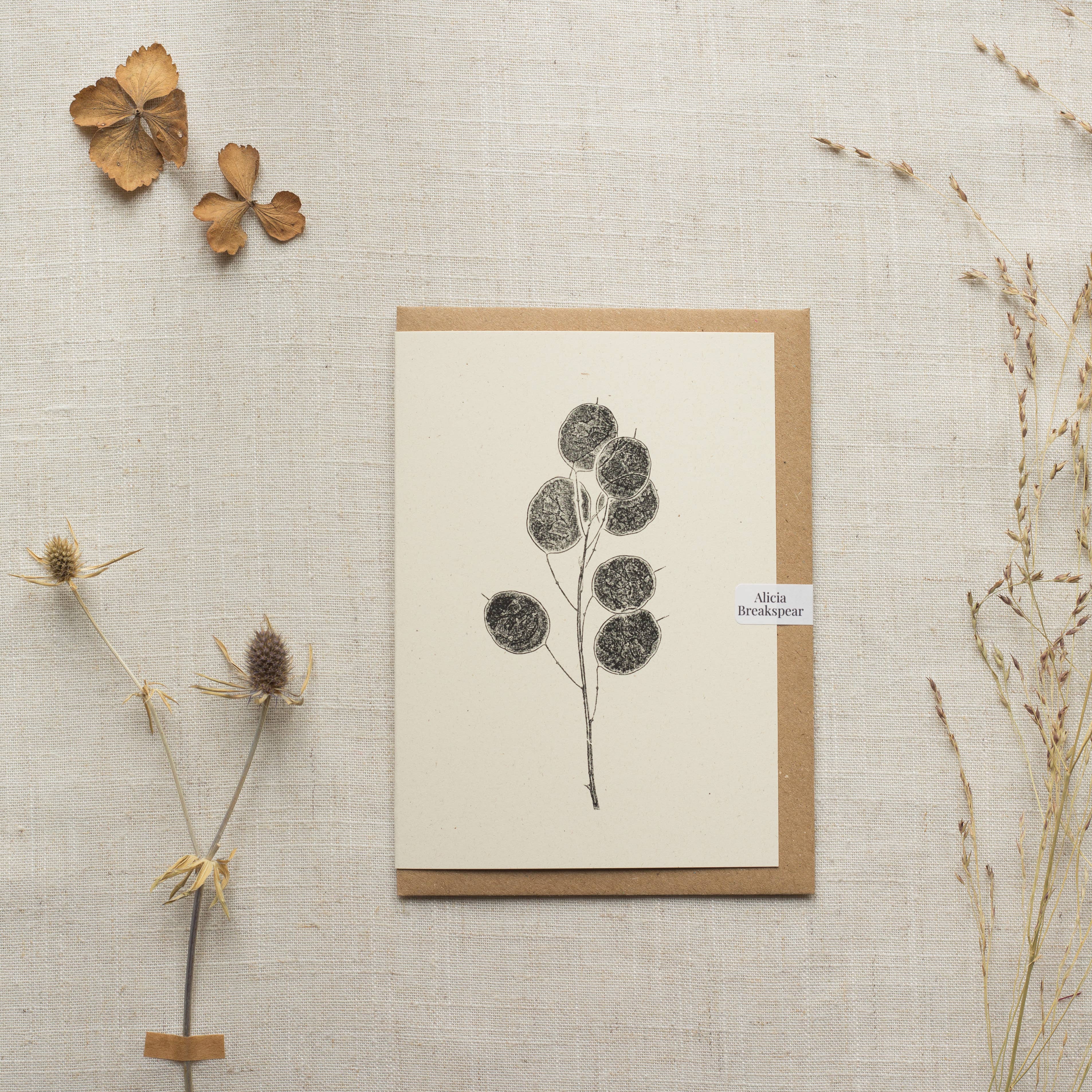 Alicia Breakspear - Wholesale Everyday Greeting Card - Honesty Pods Floral Greeting Card A6 Recycled Card