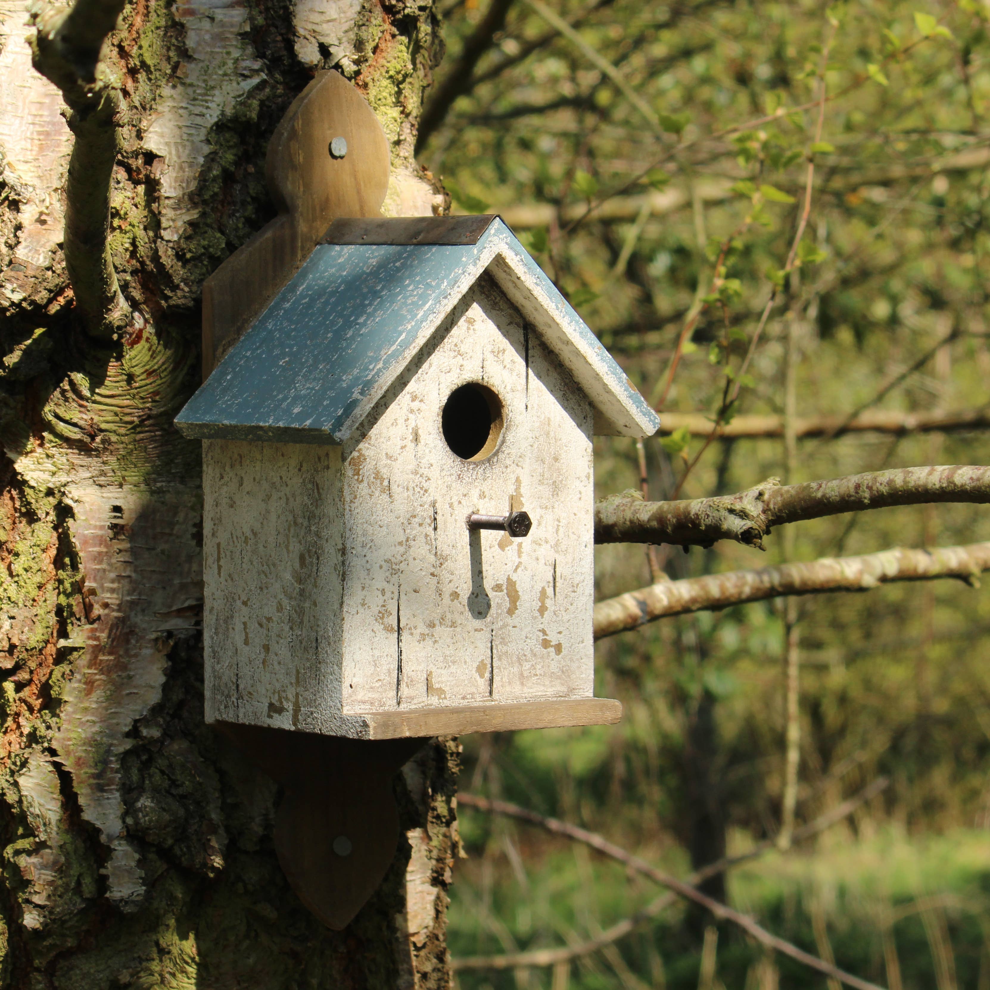 Originals International Ltd - Wholesale Bird House - White Bird House with Blue Roof on Plaque1