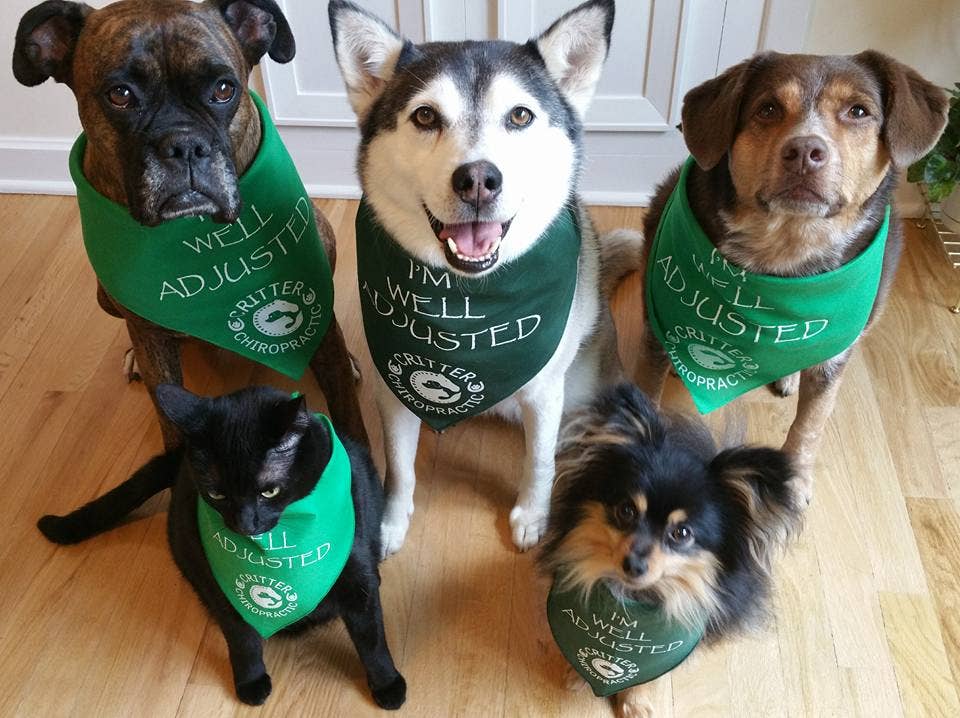 FunDog Bandanas - Wholesale Pet Bandana - Dog - Custom Bandanas with 1 Ink Color Imprint1