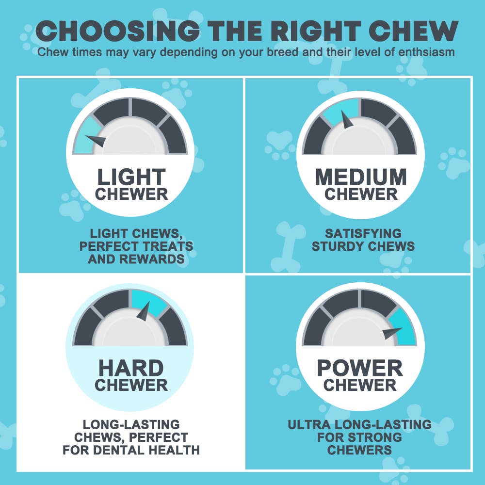 Hotspot Pets - Wholesale Pet Treats - Dog - 6'' Beef Flat Backstrap Natural Tendon Dog Chew Treats1