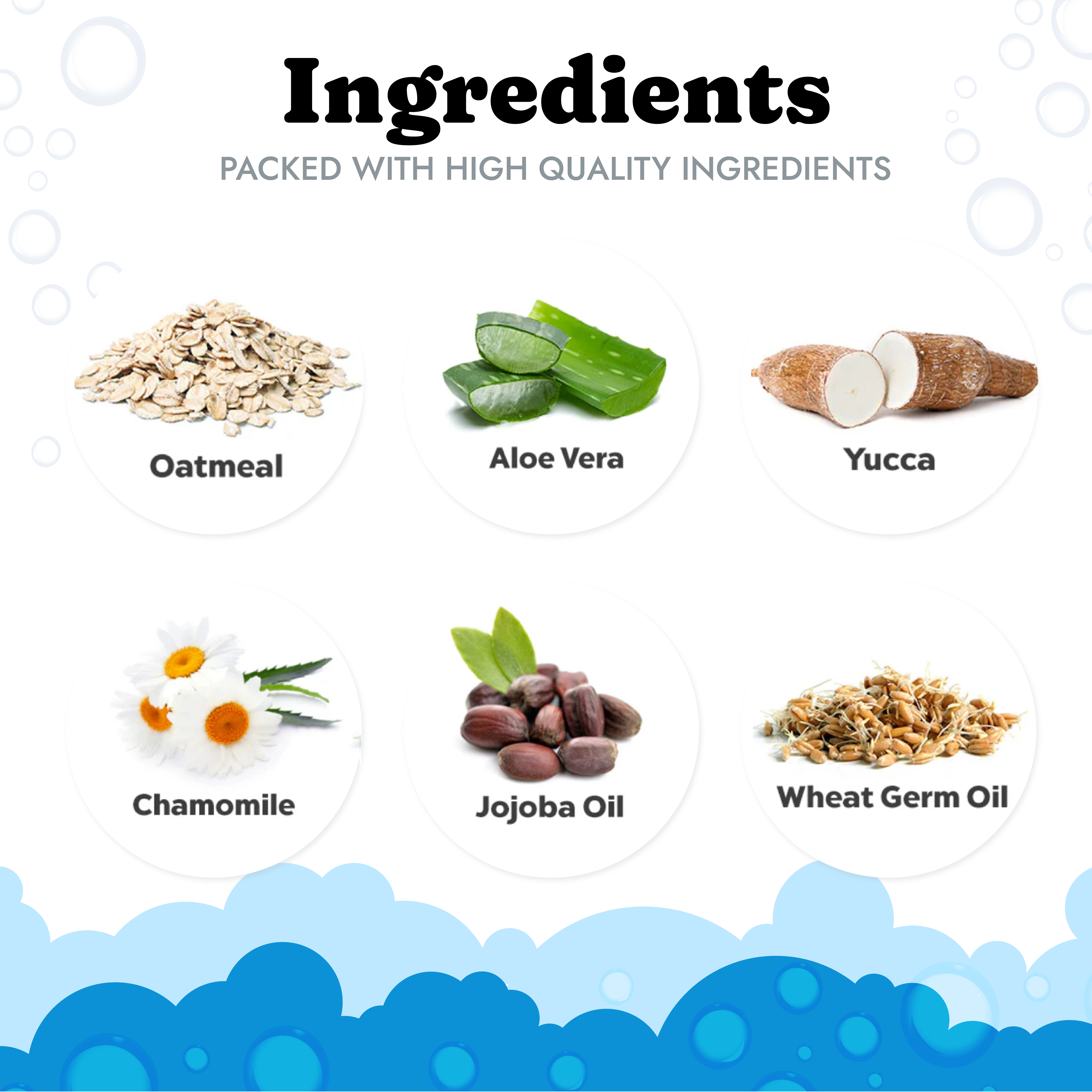 Vital Pet Life - Wholesale Pet Shampoo - Dog - Oatmeal and Aloe Dog Shampoo, 16 oz2