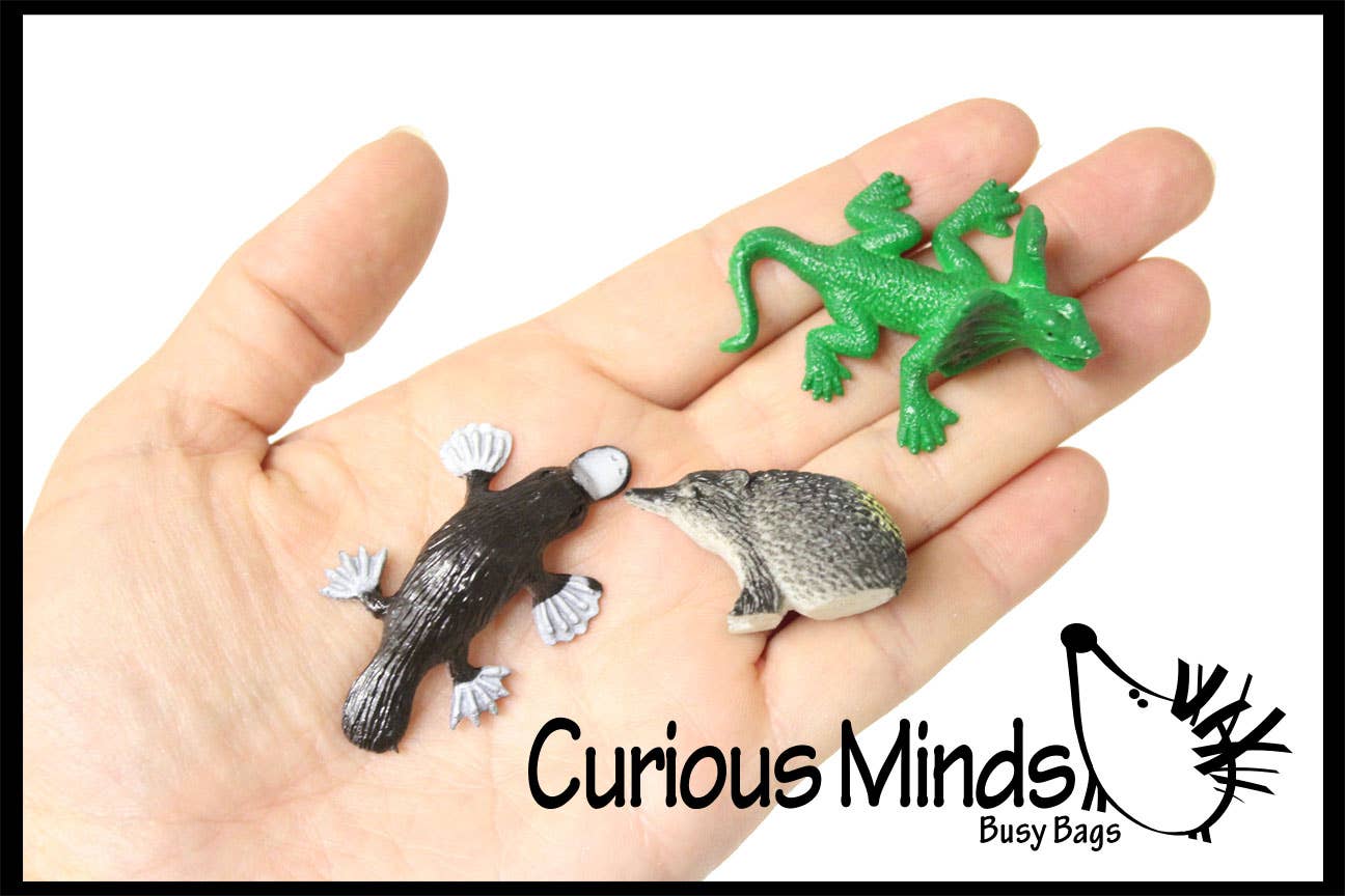 Curious Minds Toys – wholesale Figurine toy – Kids – 1 Pack Miniature Australian Animal Figurines Replicas1