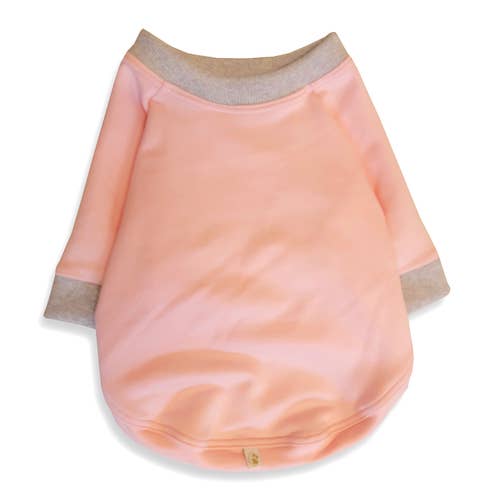 Eco-Pup - Vendita all'ingrosso Maglione - Cani - FELPA APPLE1