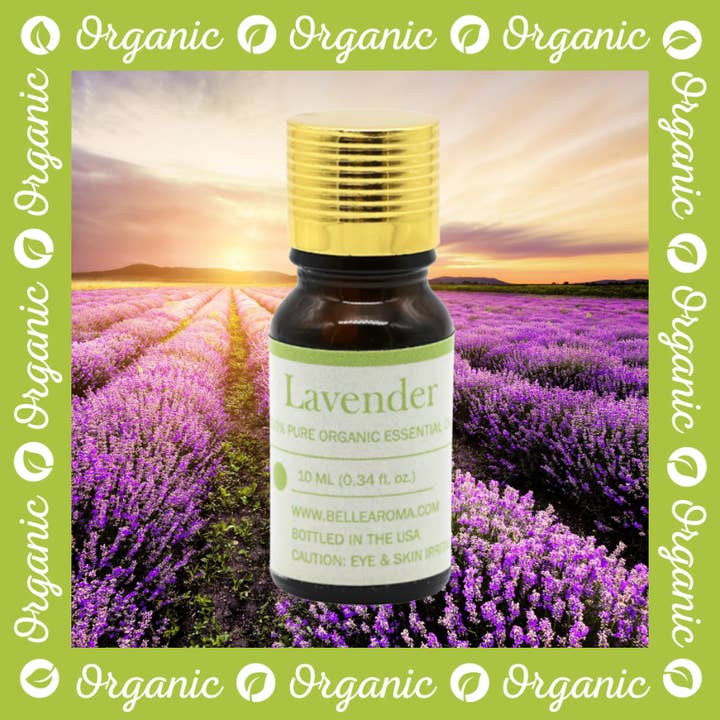 Belle Aroma® - Wholesale Essential Oil - Belle Aroma® 10 ml Organic Lavender Essential Oil3