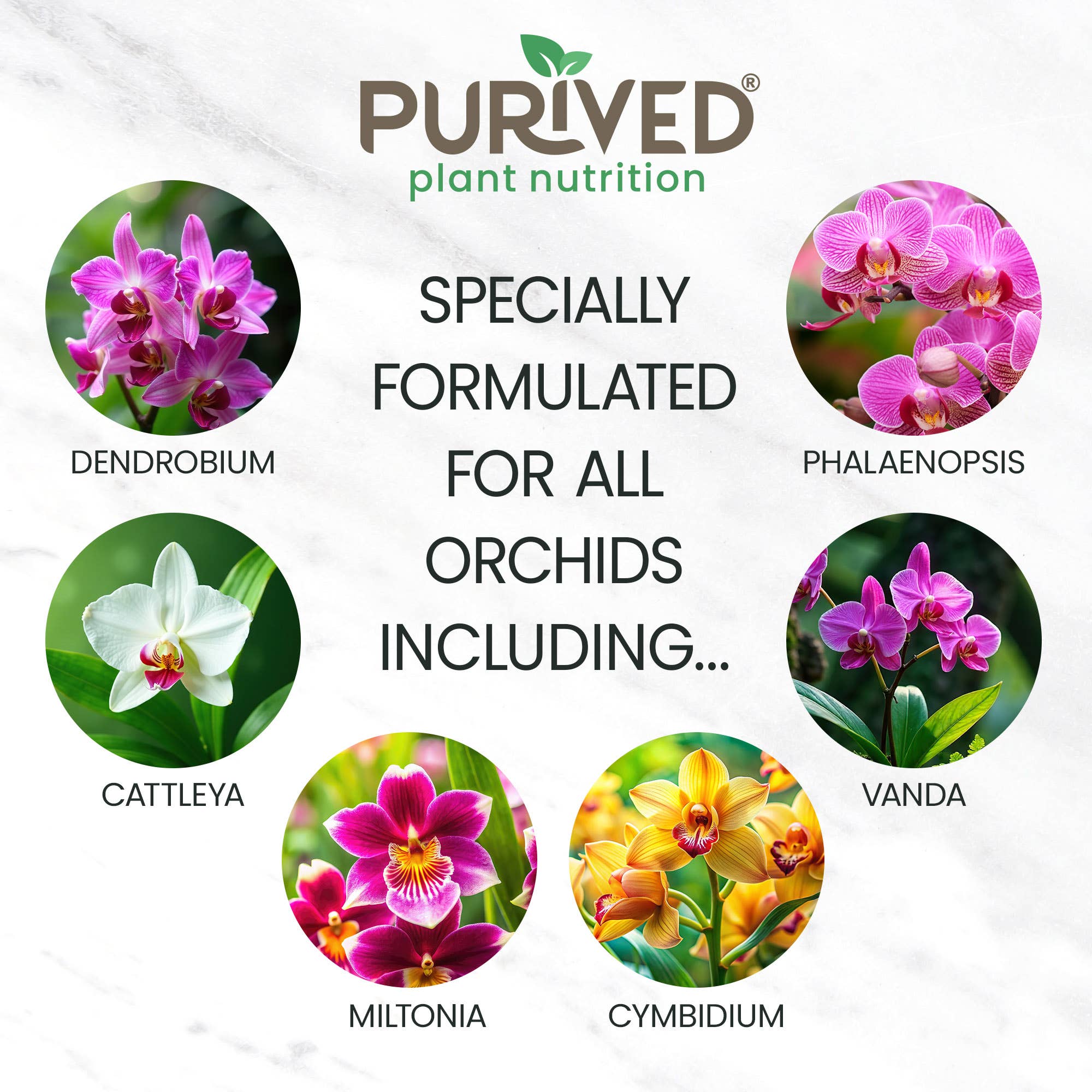 Purived - Wholesale Fertilizer - Purived Orchid Food – 16fl oz of Concentrated Fertilizer5