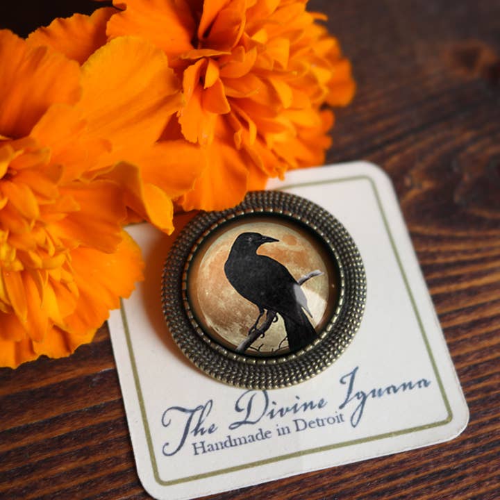 The Divine Iguana - Wholesale Brooch - Orange Crow or Raven Goth Halloween Brooch