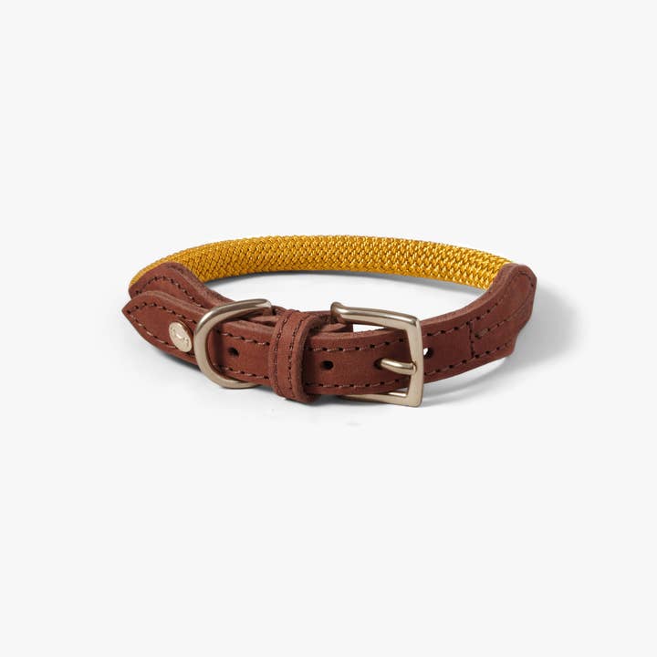 Hundhalsband Torekov Sunflower Yellow för wholesale av Denjo Dogs