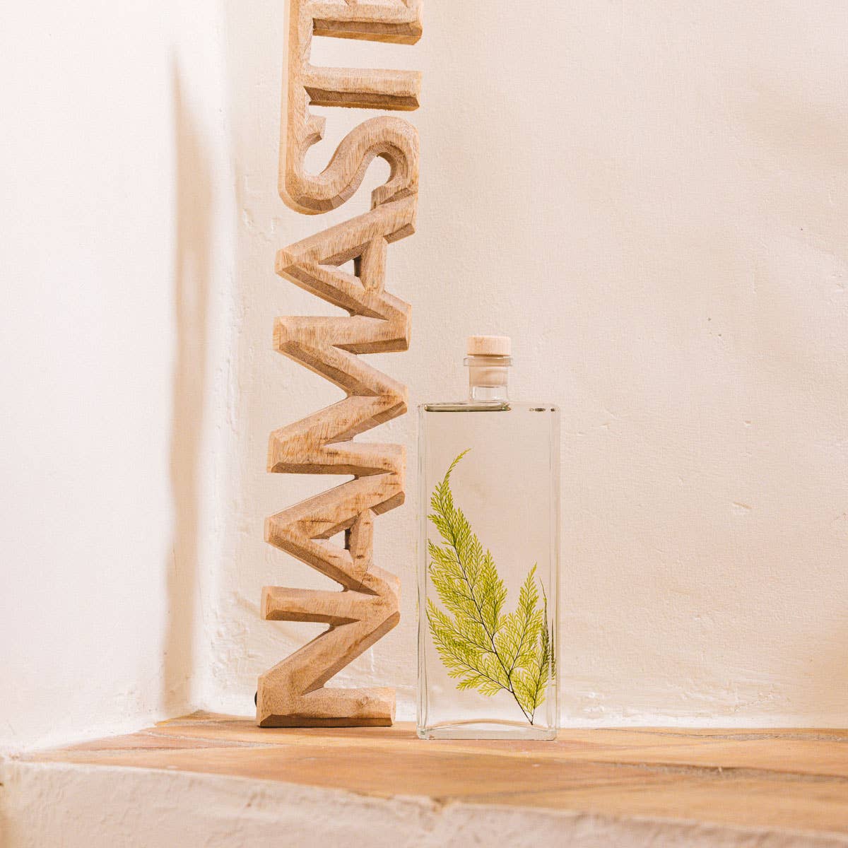 Theophile Berthon - Wholesale Live Plant - The Tabalia Fern Herbarium - submerged plant4