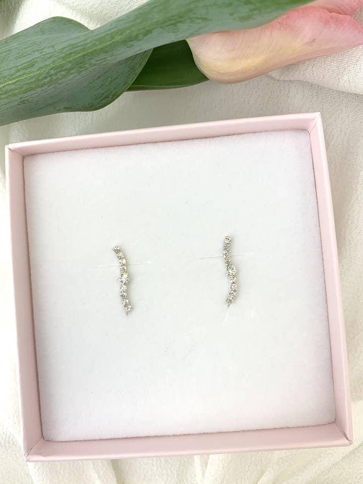 Pendientes trepadores Isabella para venta al por mayor de Cucadas de Ana