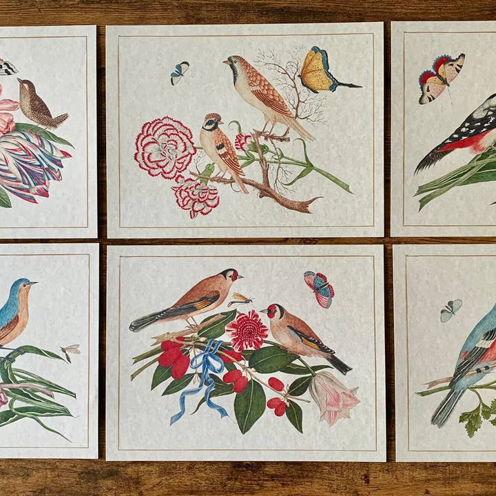 Magnifique Hearts - Wholesale Art Print - Ornithological Beautiful Botanical Bird Prints