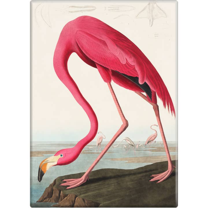 Magnet - Pink Flamingo for wholesale by Square Deal Recordings & Supplies