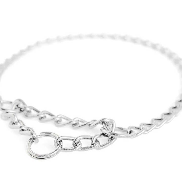 Mighty Paw - Wholesale Pet Collar - Dog - Stainless Steel Martingale Collar