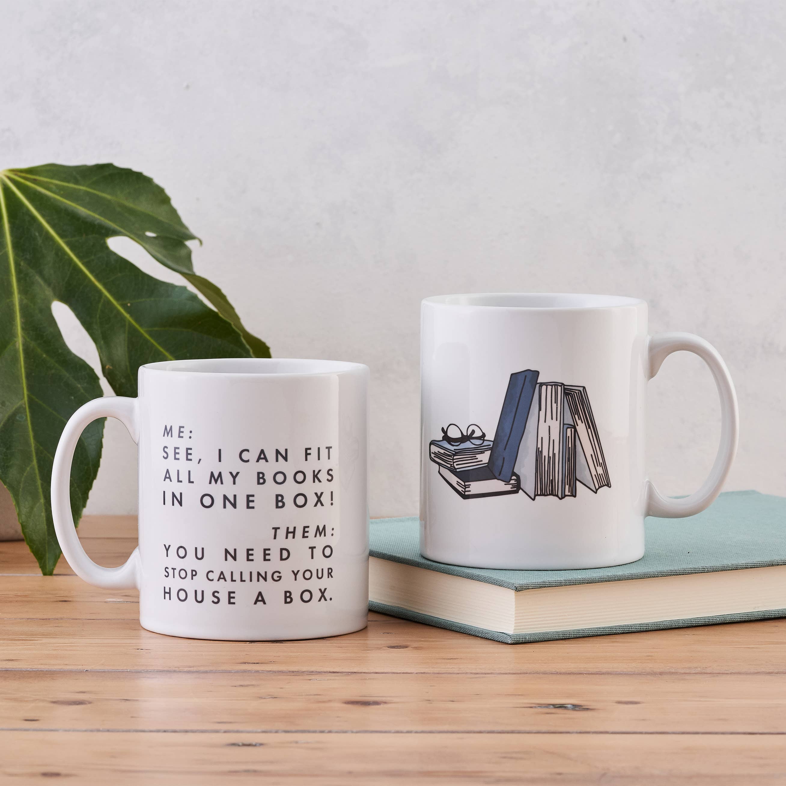 Bookishly (US Duties Paid) - Wholesale Coffee Mug - Fit All My Books Funny Relatable Mug