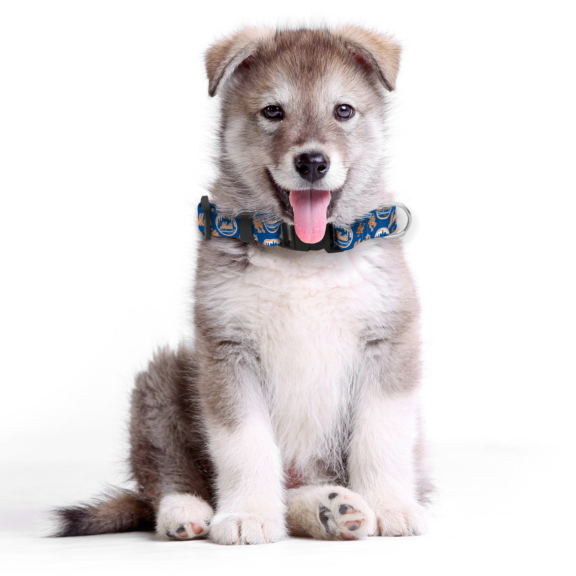 Little Earth Productions - Vente Collier – chat et chien - Collier pour animaux de compagnie de l'équipe MLB New York Mets1